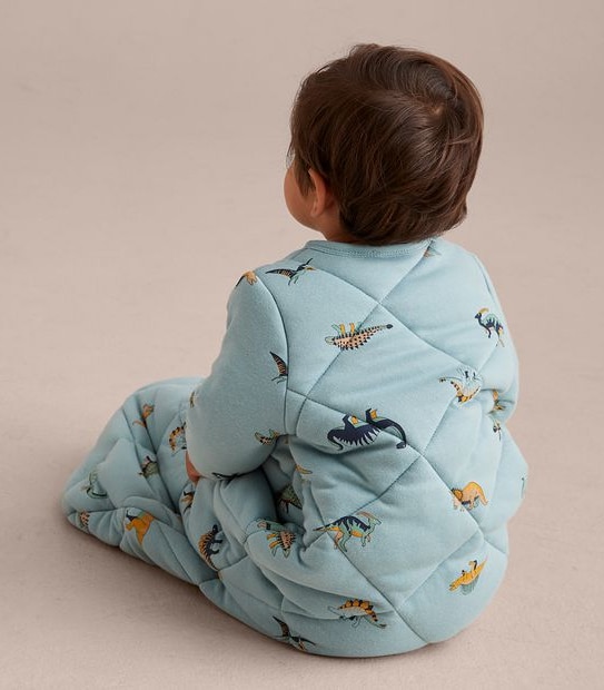 Baby Dinosaur Sleeping Bag