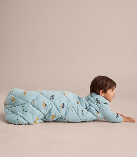 Baby Dinosaur Sleeping Bag