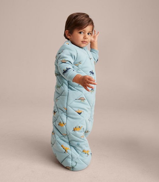 Baby Dinosaur Sleeping Bag