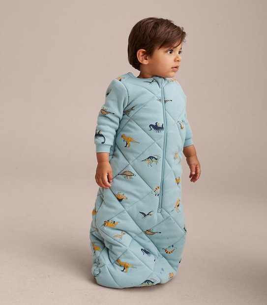 Baby Dinosaur Sleeping Bag