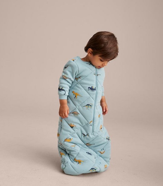 Baby Dinosaur Sleeping Bag