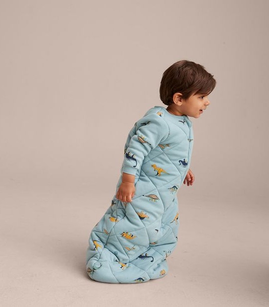 Baby Dinosaur Sleeping Bag