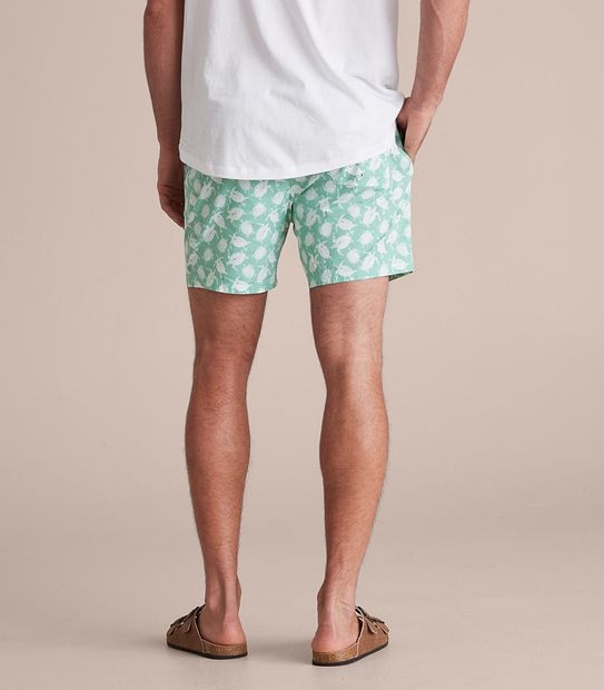 Printed Volley Shorts