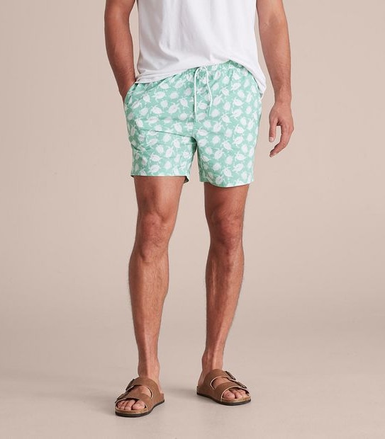 Printed Volley Shorts