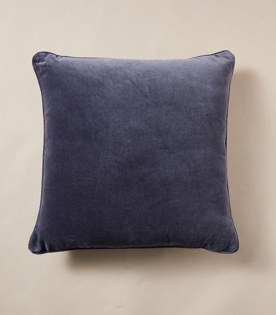 Velvet Cushion