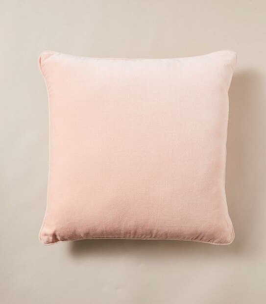 Velvet Cushion
