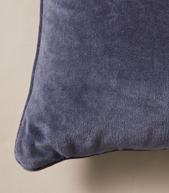 Velvet Cushion