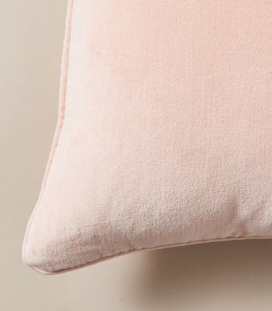 Velvet Cushion