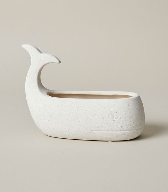Novelty Whale Pot