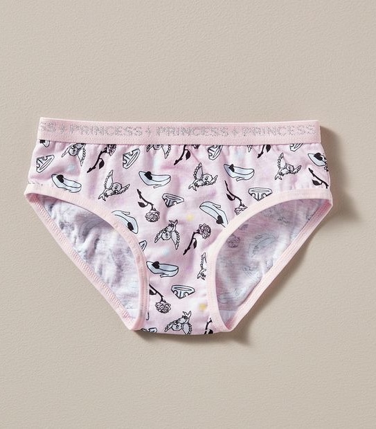 Disney Princess 4 Pack Briefs