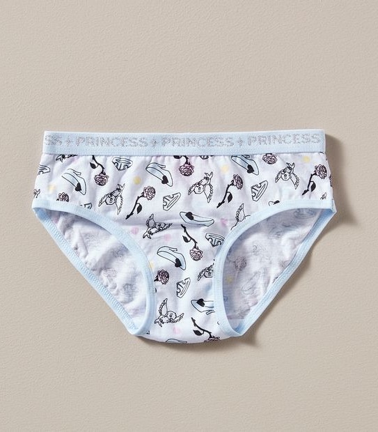 Disney Princess 4 Pack Briefs