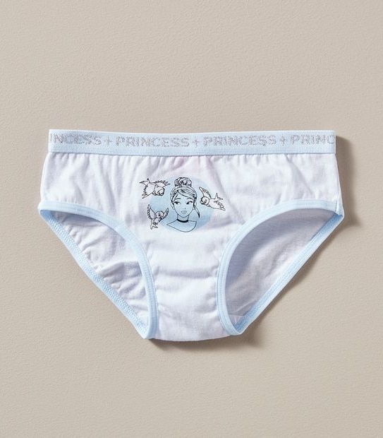 Disney Princess 4 Pack Briefs