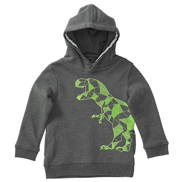 Dinosaur Pull Over Hoodie