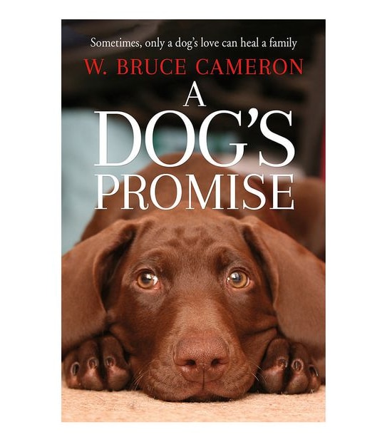 A Dog's Promise