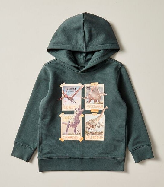 Print Hoodie