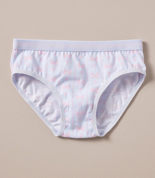 4 Pack Disney Minnie Mouse Briefs