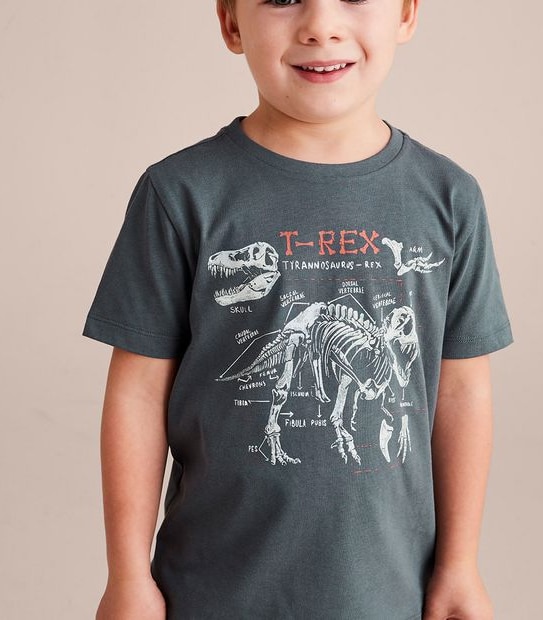 Organic Cotton Print T-shirt