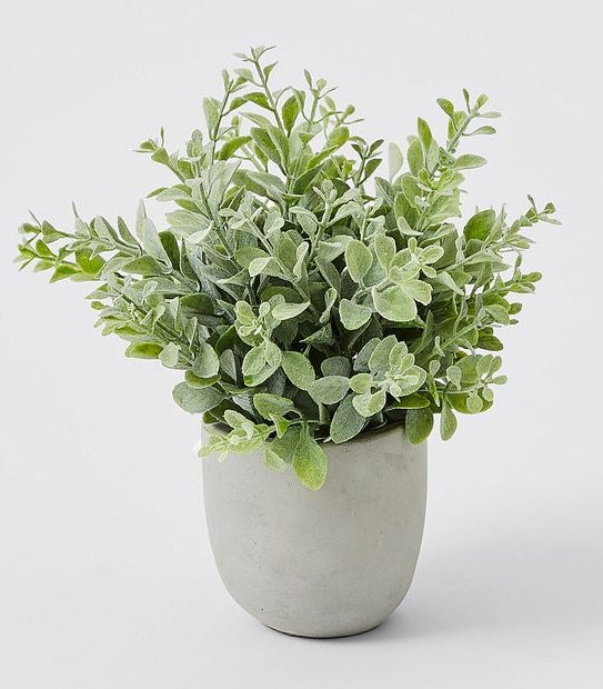Sage Artificial Bush in Cement Pot