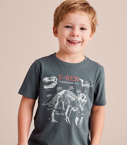 Organic Cotton Print T-shirt | Target Australia