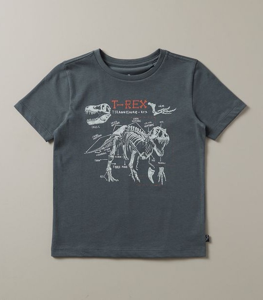 Organic Cotton Print T-shirt