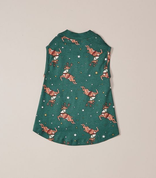 Family Matching Christmas Reindeer Dog Pyjamas