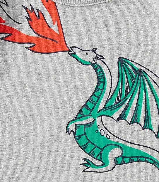 Dragon Print Short Sleeve T-Shirt