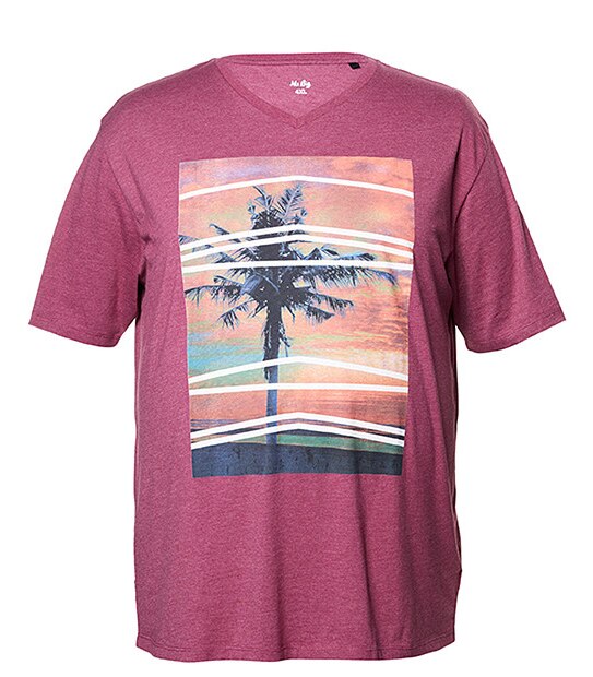 Men's Mr Big Short Sleeve Palms Printed T-Shirt - Red