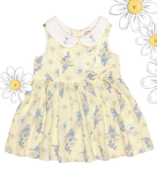 Peter Rabbit Baby Dress