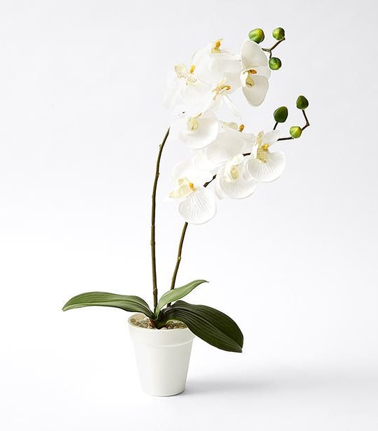 Faux Orchid In Pot