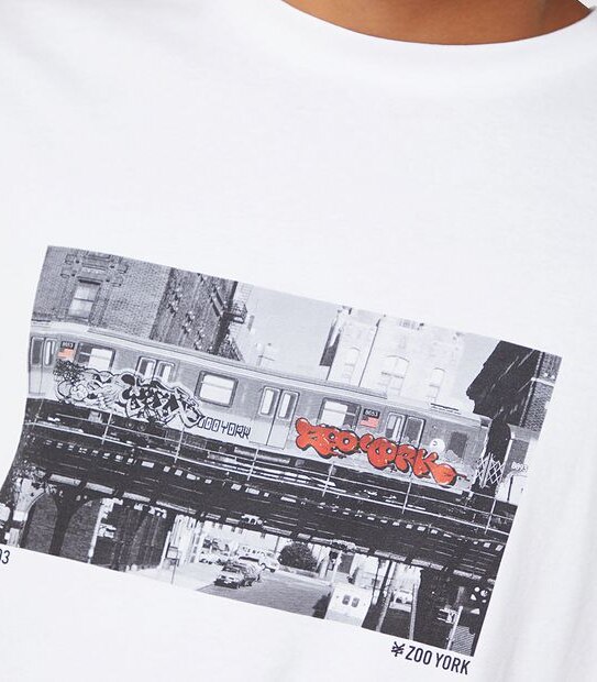 Zoo York Queensbridge T-Shirt - White