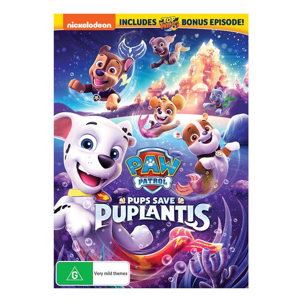 pups save the paw patroller