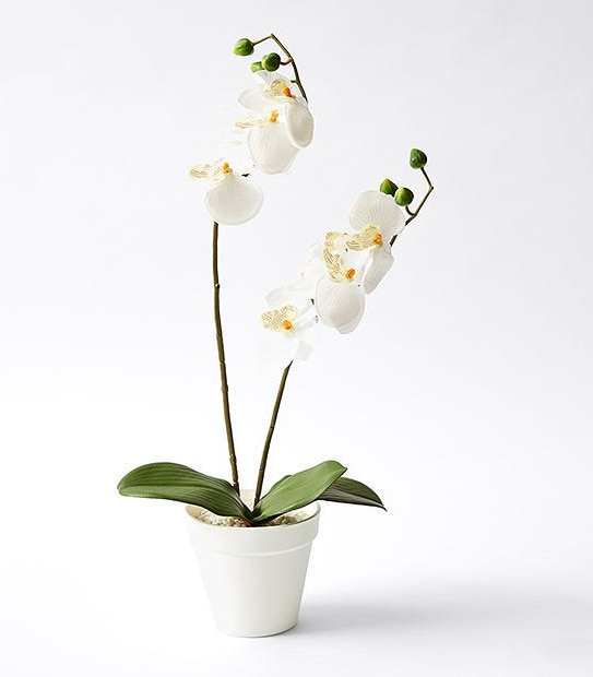 Faux Orchid In Pot