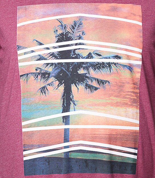 Men's Mr Big Short Sleeve Palms Printed T-Shirt - Red