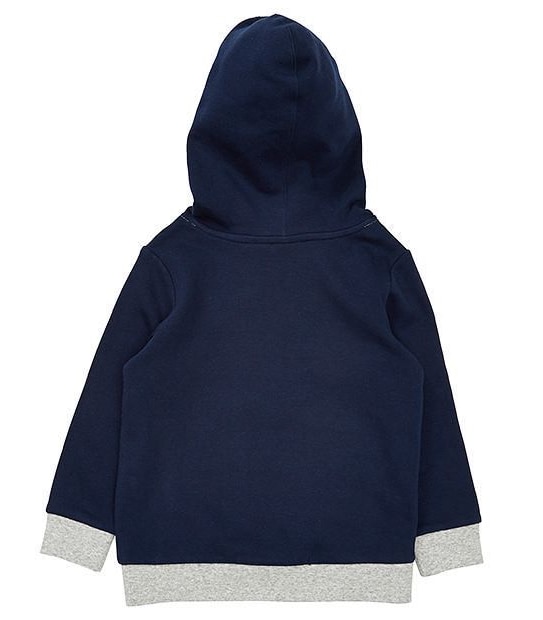 The Good Dinosaur Hoodie