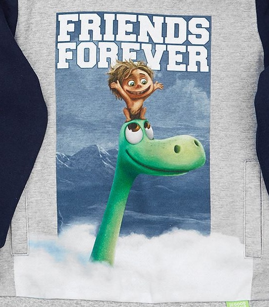 The Good Dinosaur Hoodie