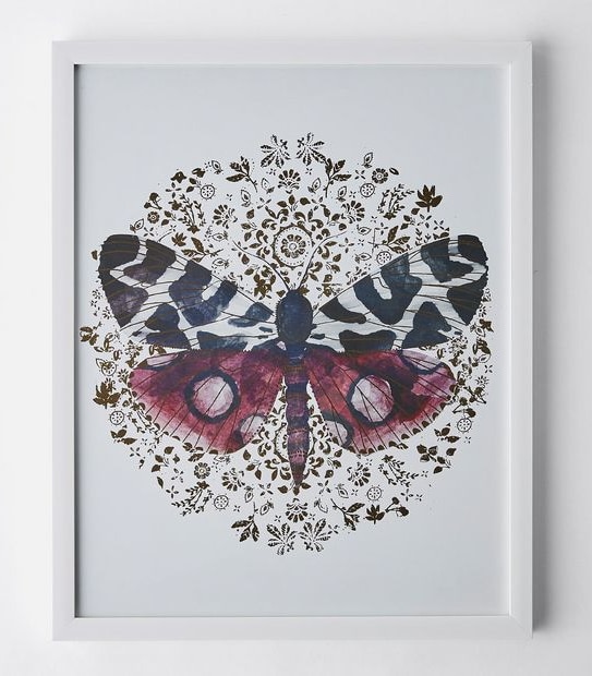 Mariposa Framed Print