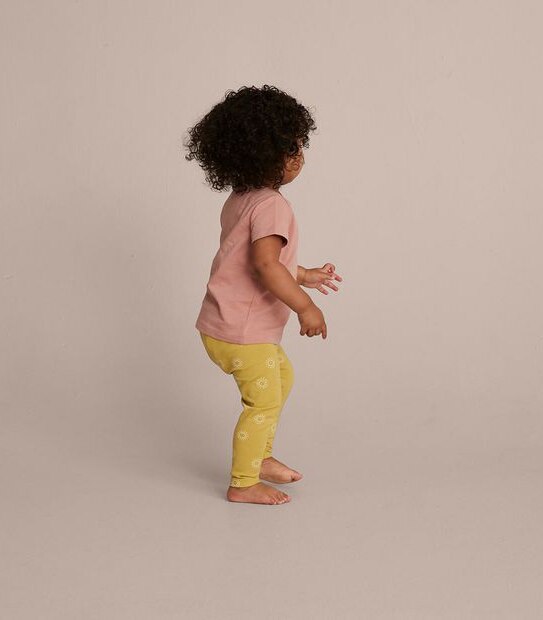 3 Pack Baby Organic Cotton Short Sleeve T-Shirts