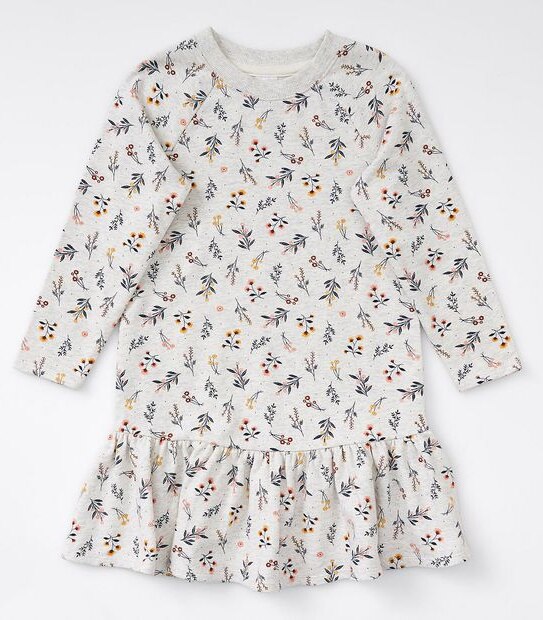 Raglan Sleeve Floral Print Terry Dress - Grey