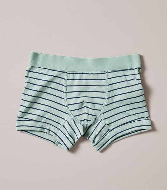 3 Pack Organic Cotton Trunks