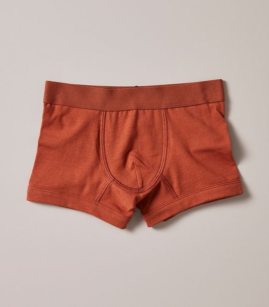 3 Pack Organic Cotton Trunks