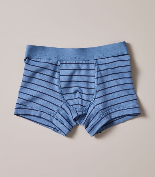 3 Pack Organic Cotton Trunks