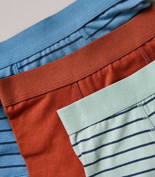 3 Pack Organic Cotton Trunks