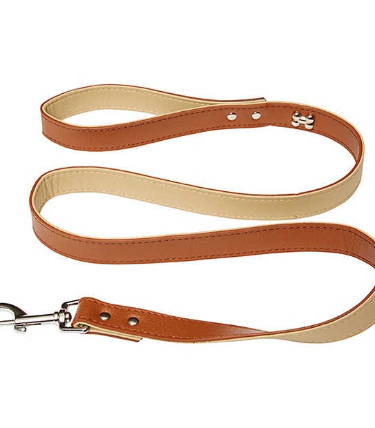 Patch & Socks Leather Dog Lead Large