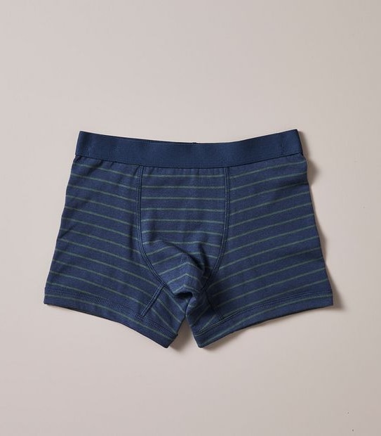 3 Pack Organic Cotton Trunks