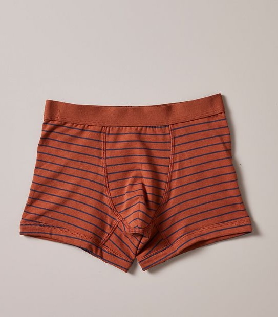 3 Pack Organic Cotton Trunks