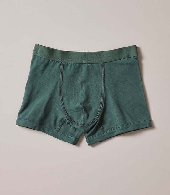 3 Pack Organic Cotton Trunks
