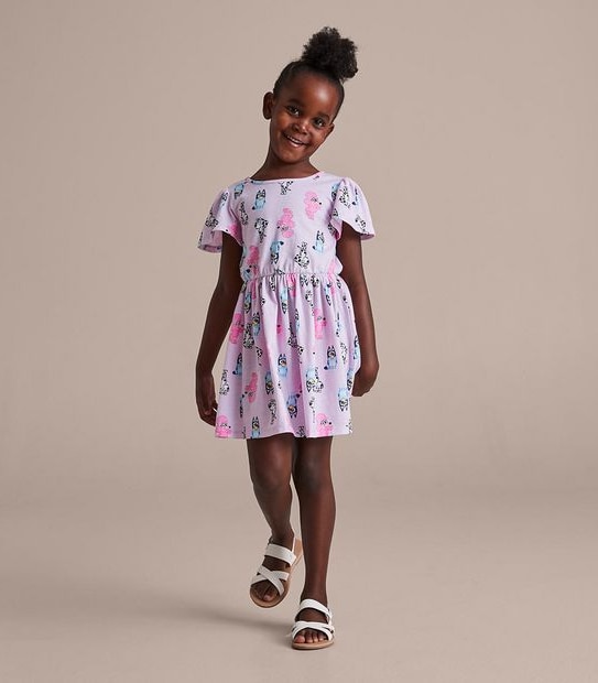 Bluey Dress