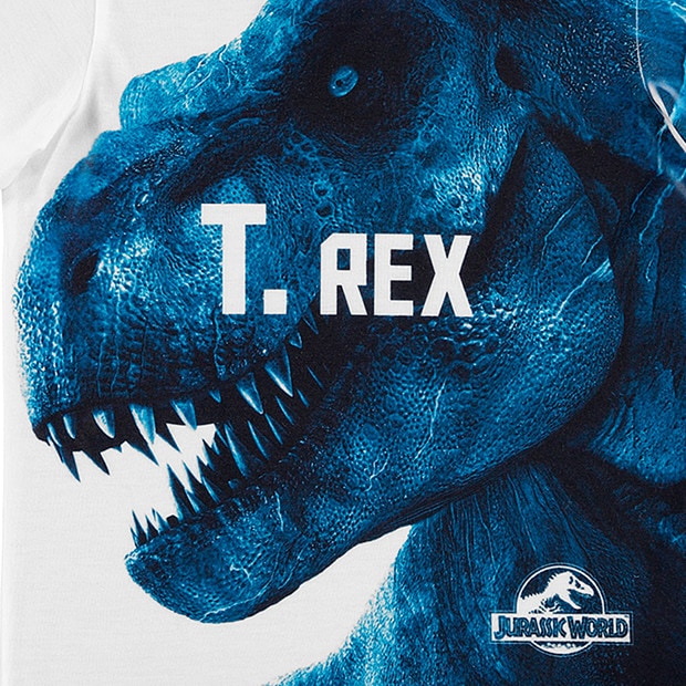 Jurassic World Short Sleeve T-Rex T 