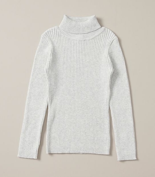 Rib Knit Skivvy