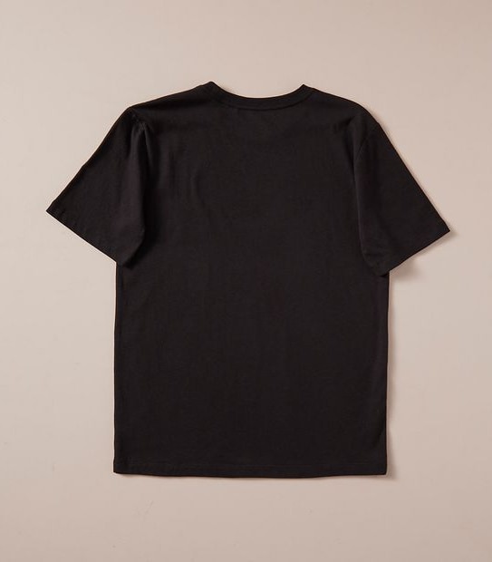 Jurassic Park T-shirt